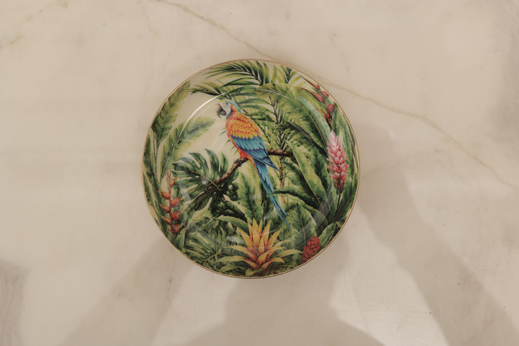 Coaster Set of 4