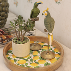Lemon Wood Round Tray Set of 2